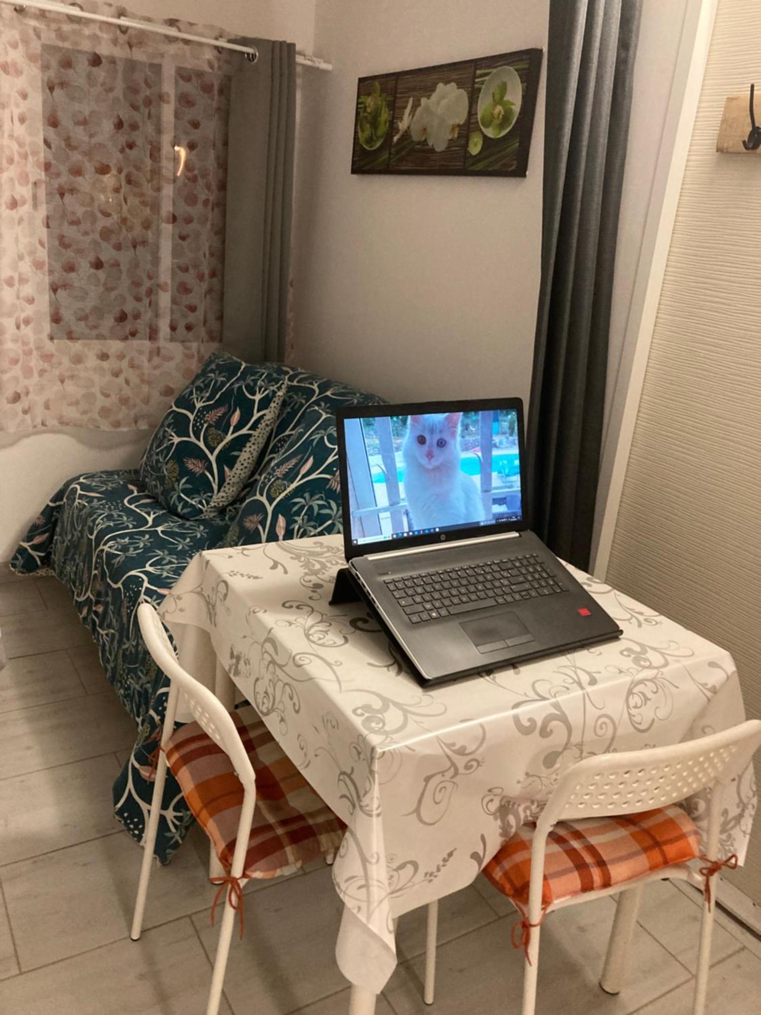 Apartament Au Havre De Paix Garéoult Zewnętrze zdjęcie